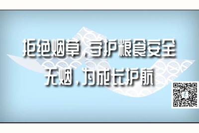 大鸡巴插嫩B的视频拒绝烟草，守护粮食安全